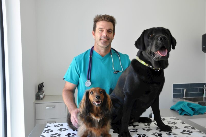 Dr James Taylor with 2 dogs