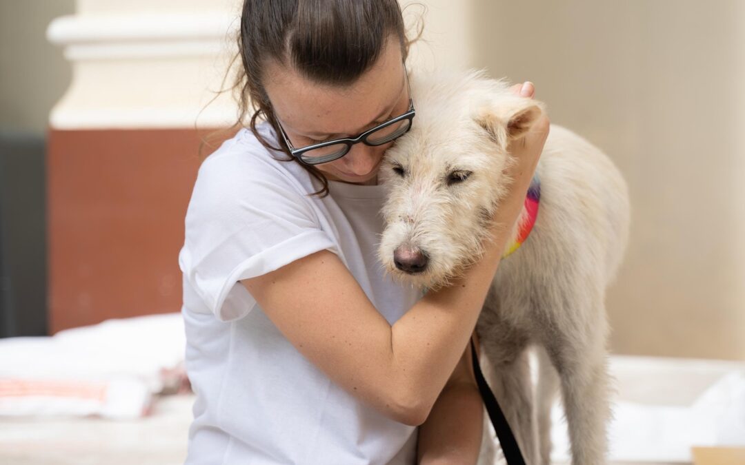 euthanasia, woman saying good bye to her old or sick dog